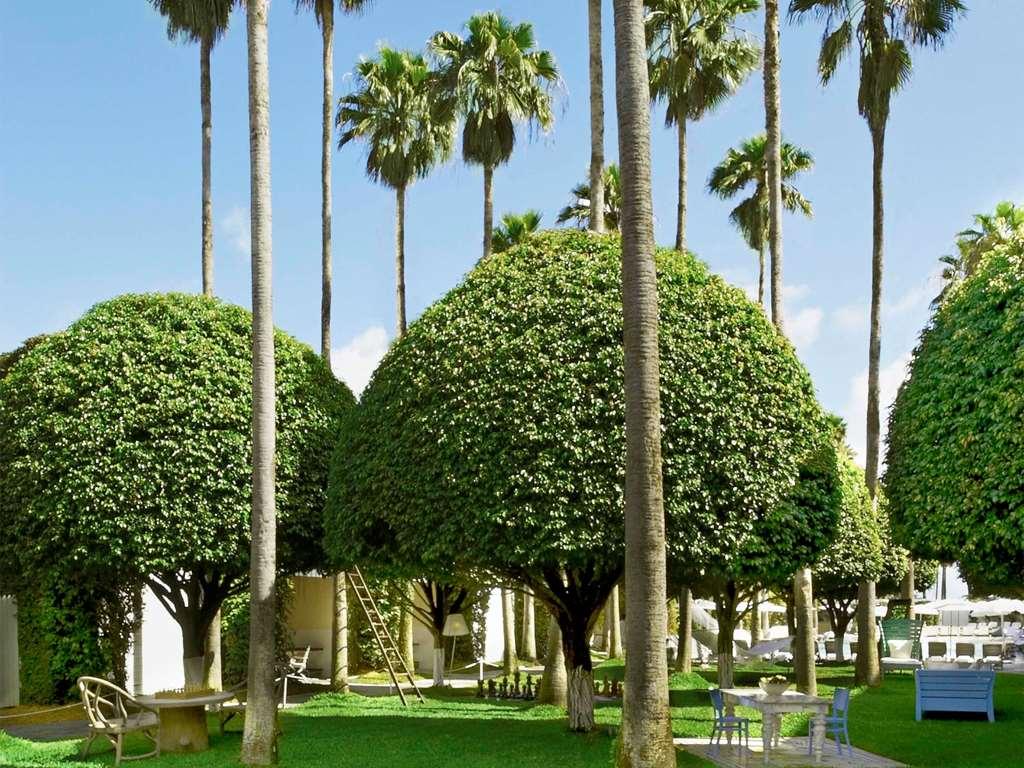 Delano South Beach 迈阿密海滩 设施 照片